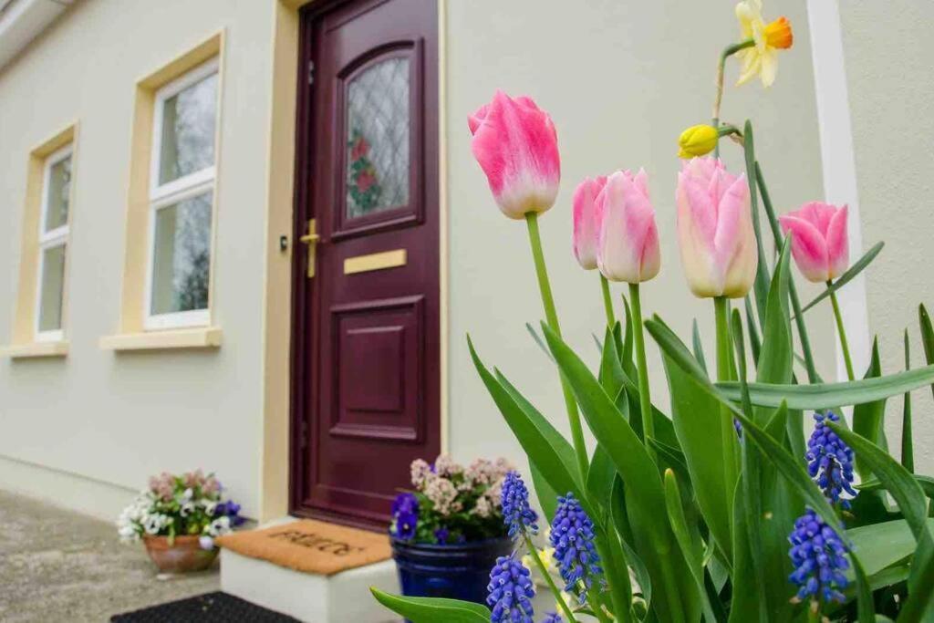 Kingfisher Riverside Retreat Kenmare Exterior foto