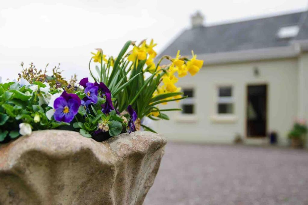 Kingfisher Riverside Retreat Kenmare Exterior foto
